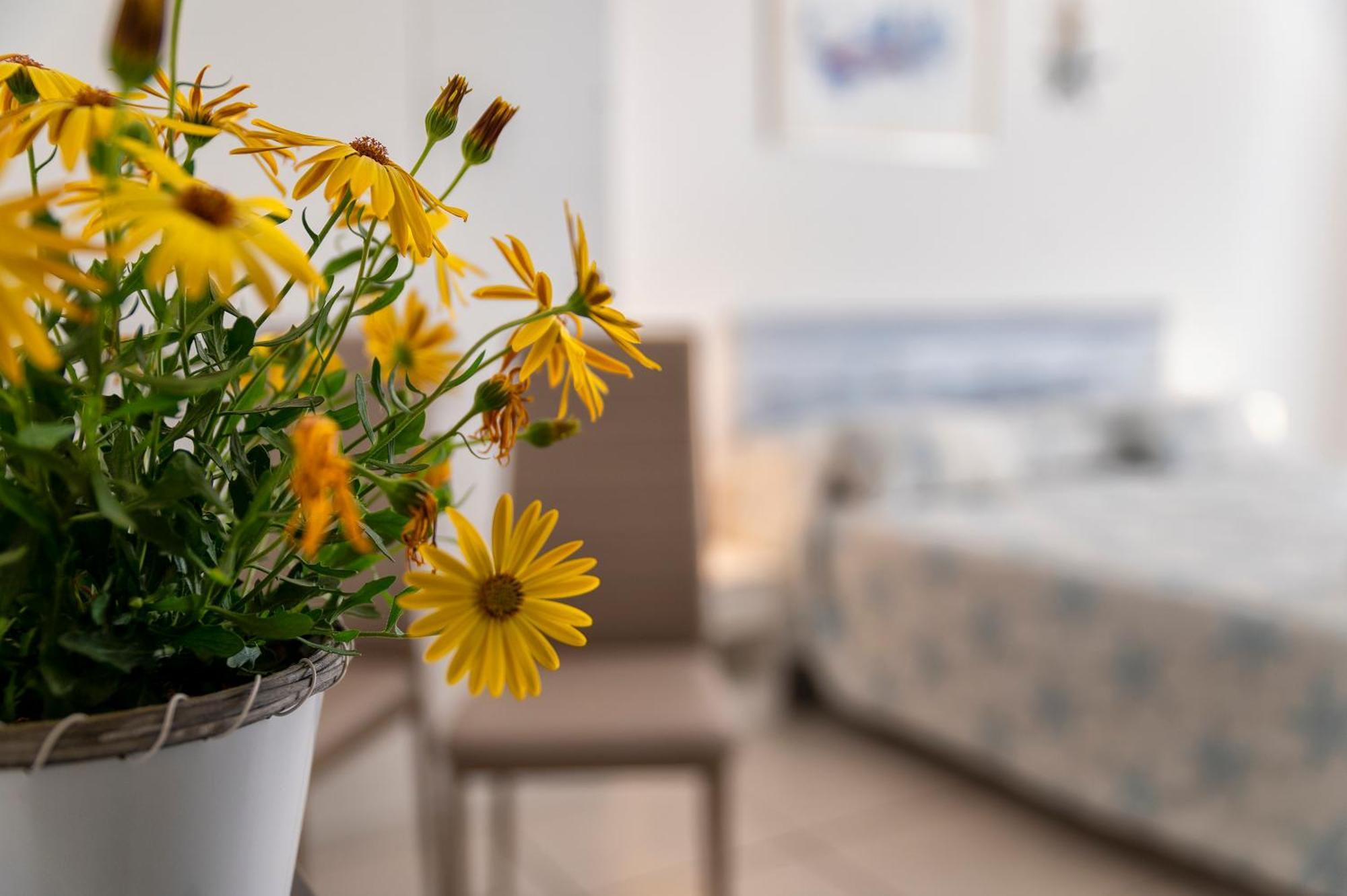 Horizon Bed & Breakfast Alghero Exterior photo